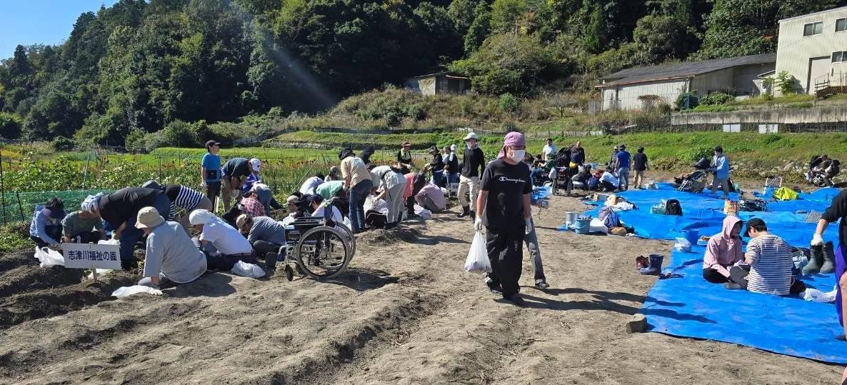 クラブ活動