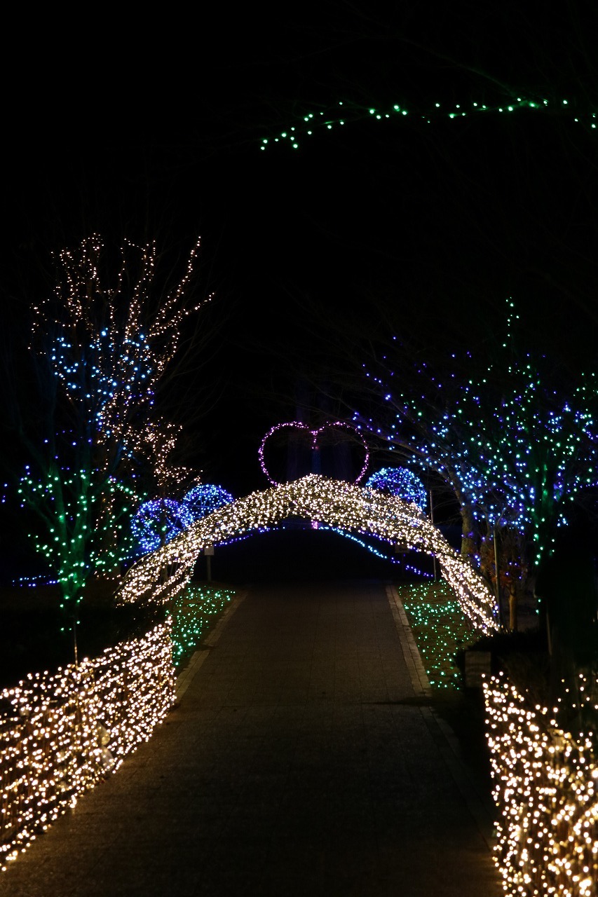 ライオンズクラブ335-C地区 クラブ活動ブログ