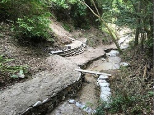 ライオンズクラブ335-C地区 クラブ活動ブログ