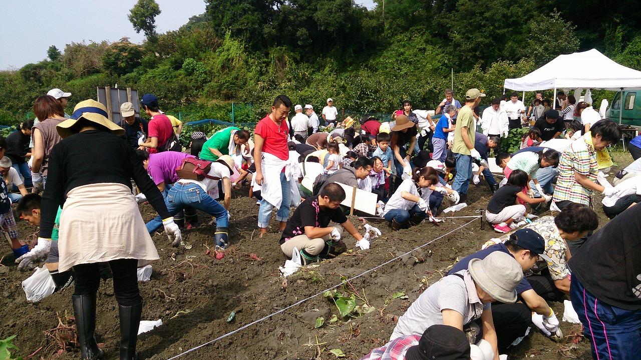 ライオンズクラブ335-C地区 クラブ活動ブログ