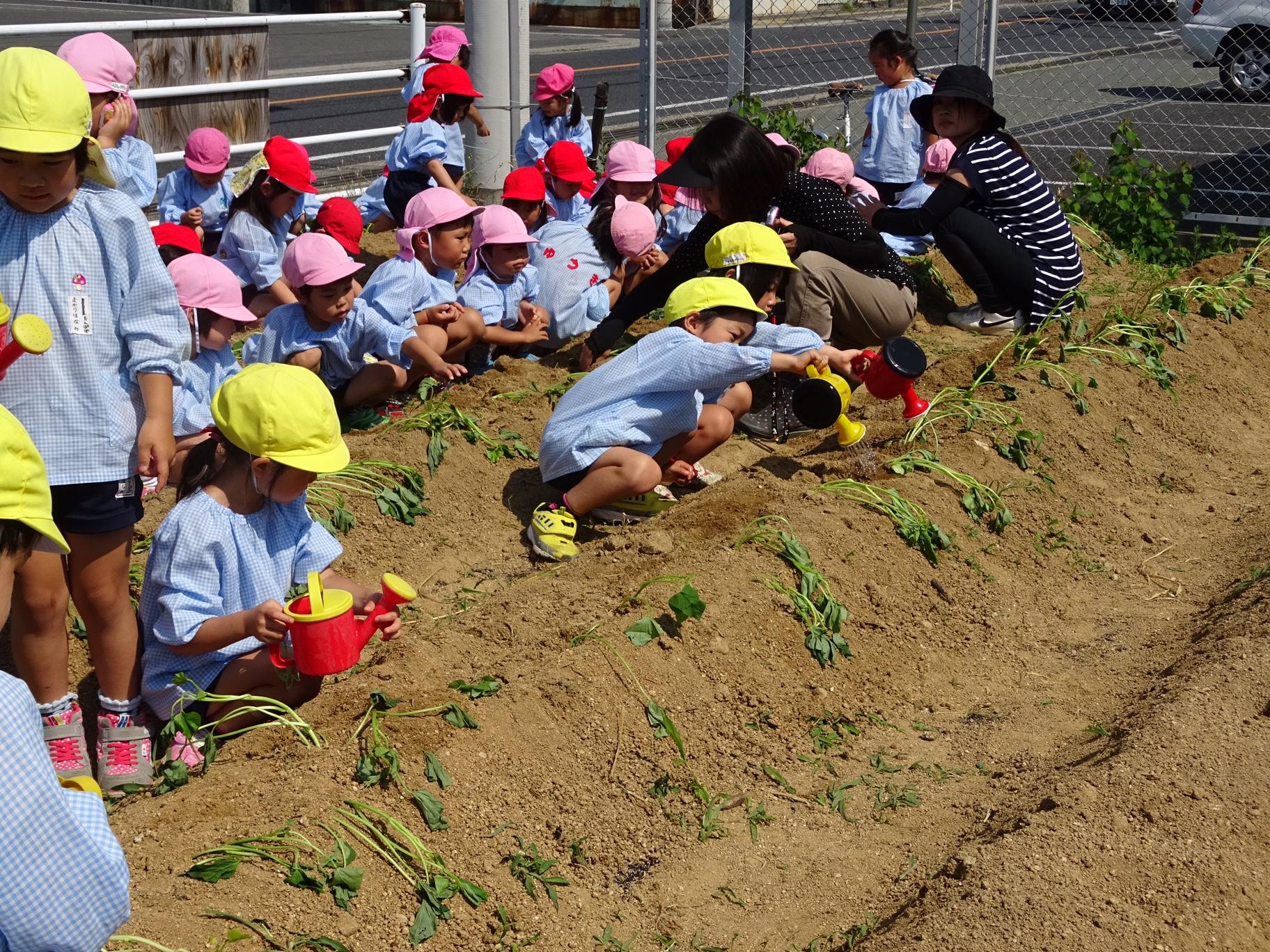 ライオンズクラブ335-C地区 クラブ活動ブログ