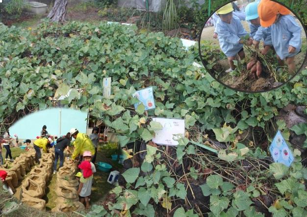 ライオンズクラブ335-C地区 クラブ活動ブログ