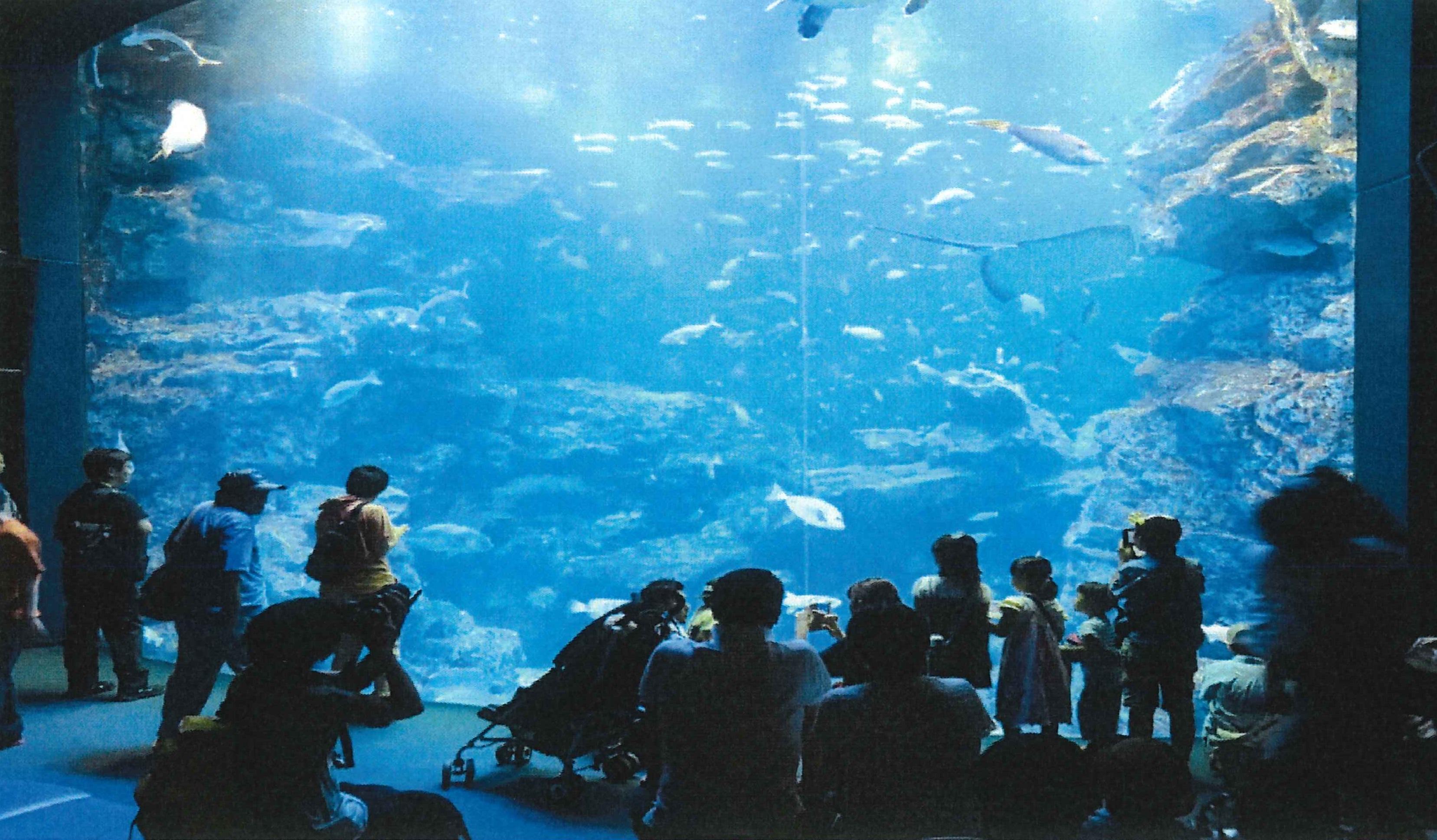 ライオンズクラブ335-C地区 クラブ活動ブログ