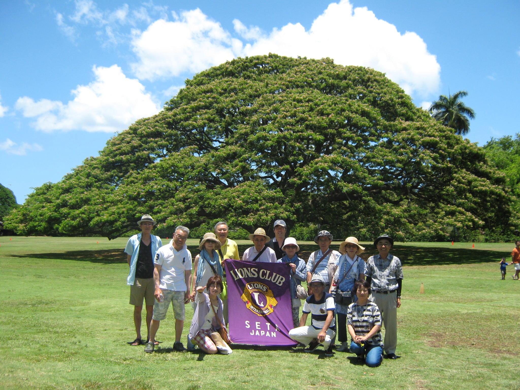 ライオンズクラブ335-C地区 クラブ活動ブログ
