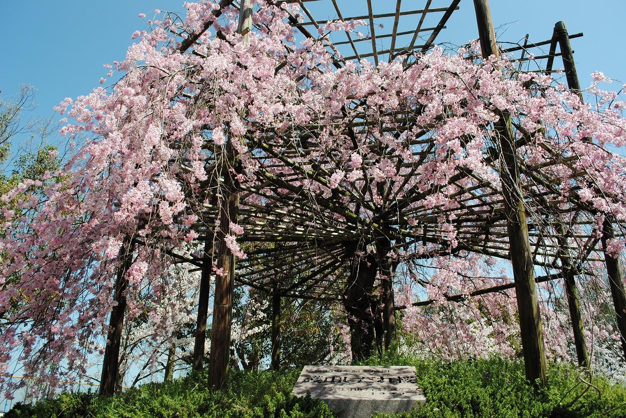 ライオンズクラブ335-C地区 クラブ活動ブログ