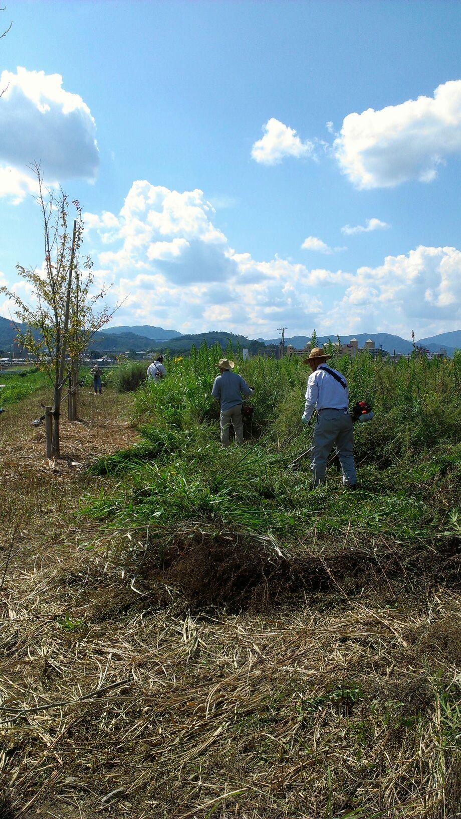 ライオンズクラブ335-C地区 クラブ活動ブログ