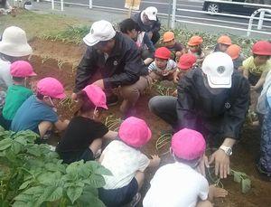 ライオンズクラブ335-C地区 クラブ活動ブログ