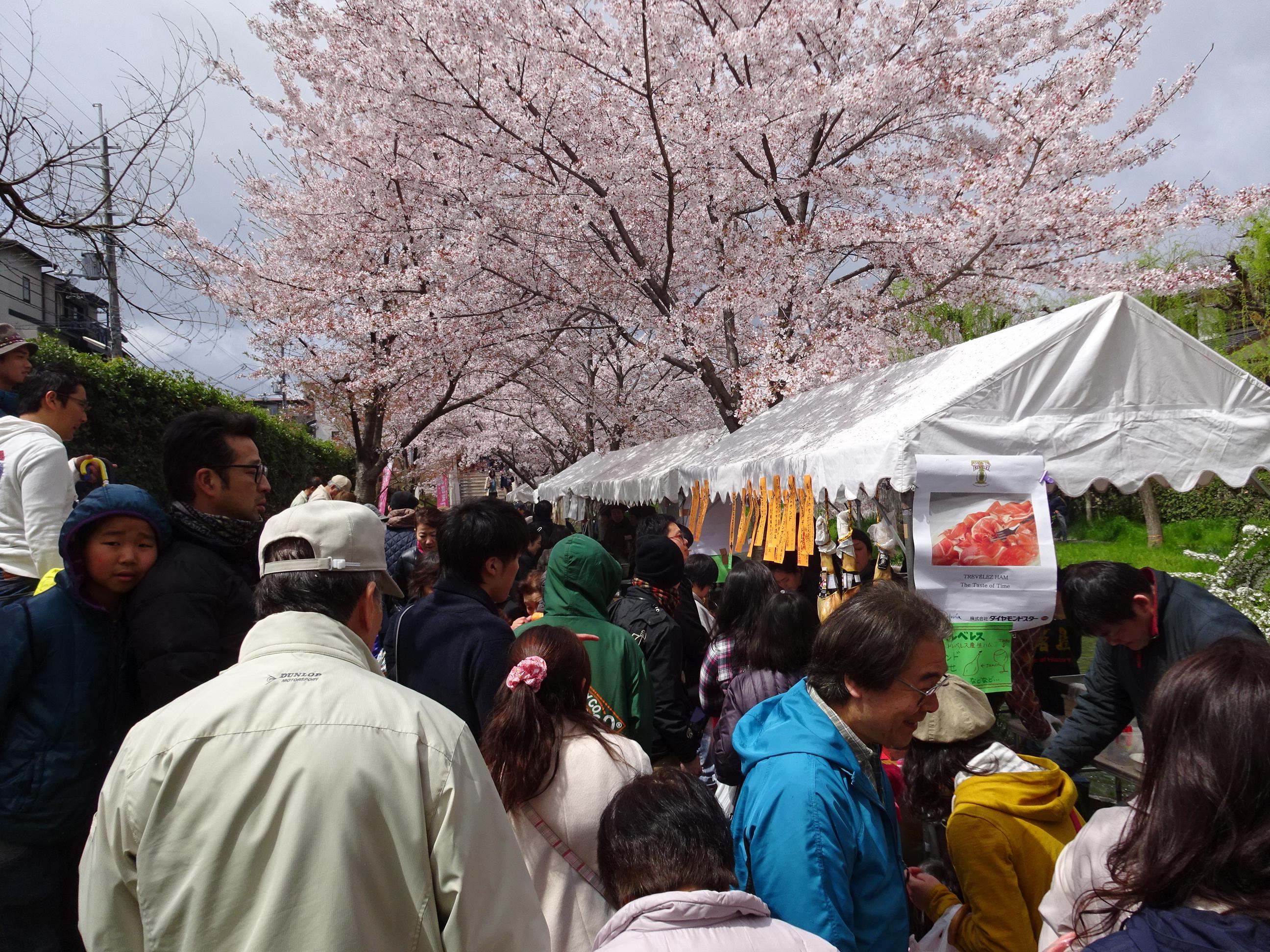 ライオンズクラブ335-C地区 クラブ活動ブログ