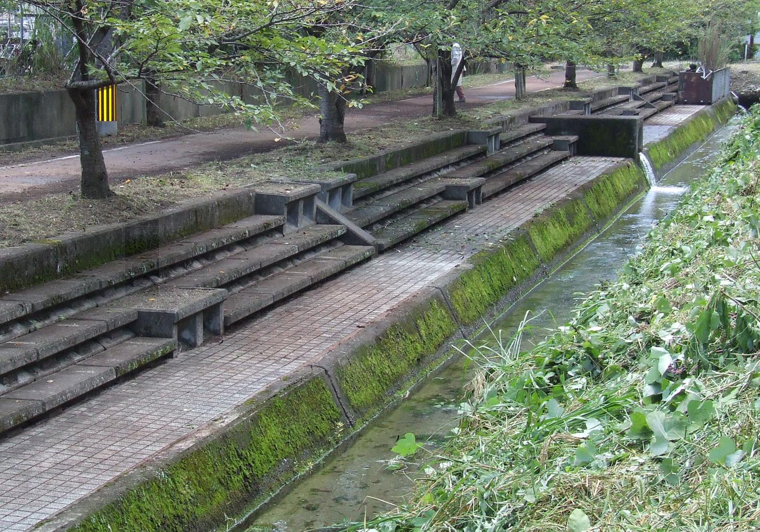 ライオンズクラブ335-C地区 クラブ活動ブログ