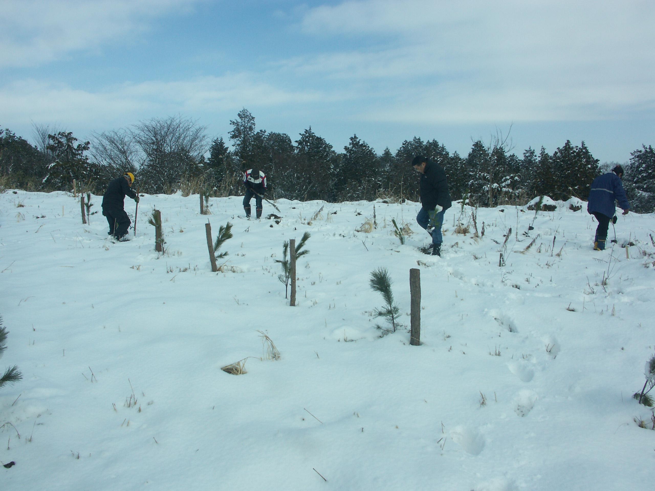 ライオンズクラブ335-C地区 クラブ活動ブログ