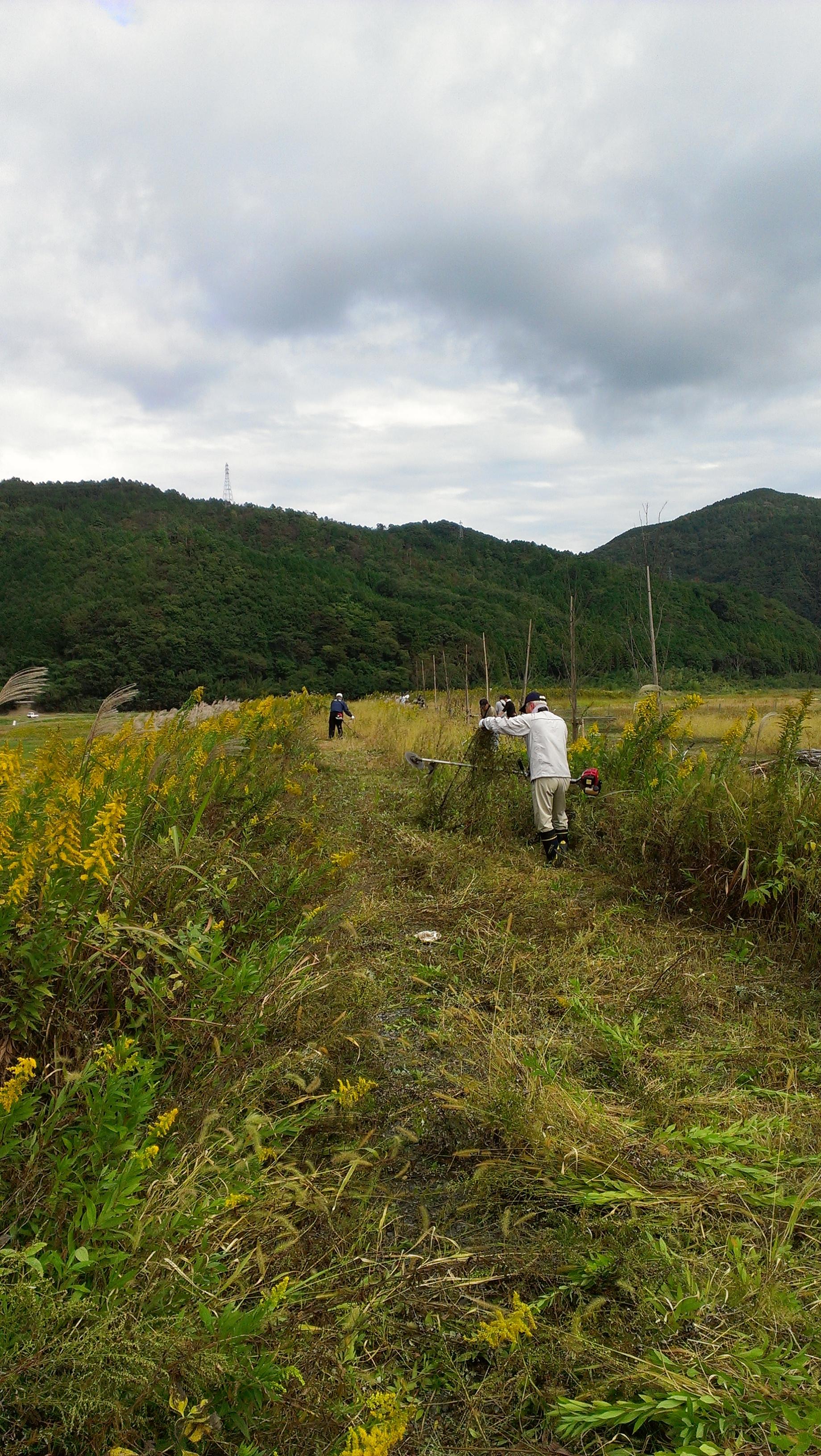 ライオンズクラブ335-C地区 クラブ活動ブログ