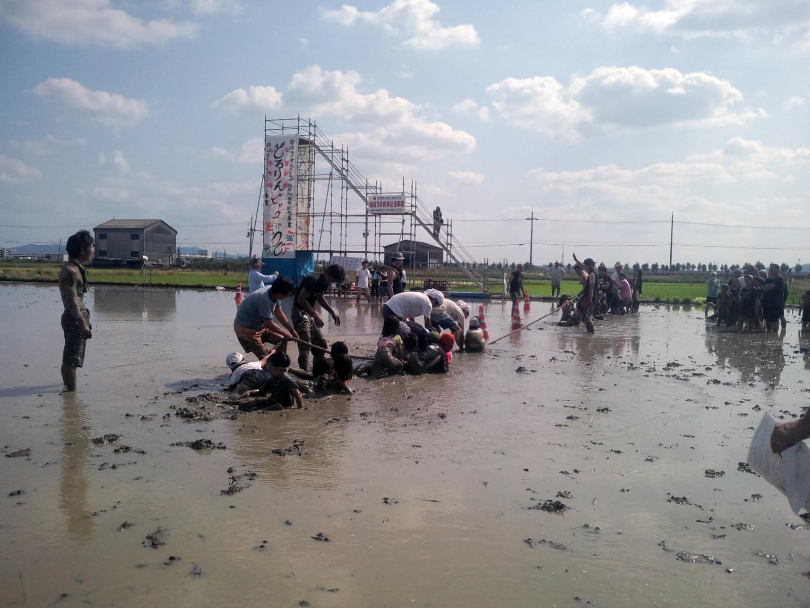 ライオンズクラブ335-C地区 クラブ活動ブログ