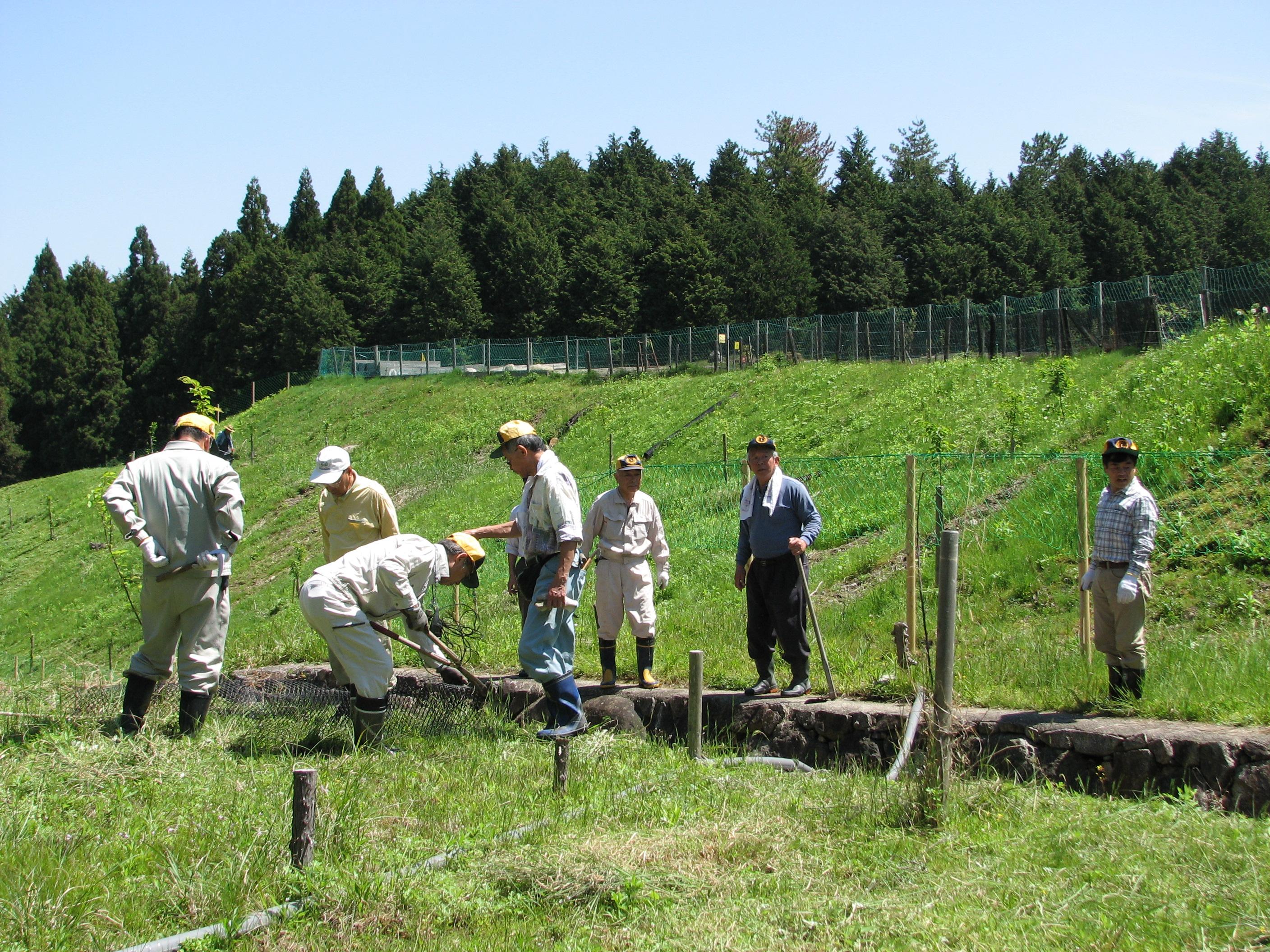 ライオンズクラブ335-C地区 クラブ活動ブログ