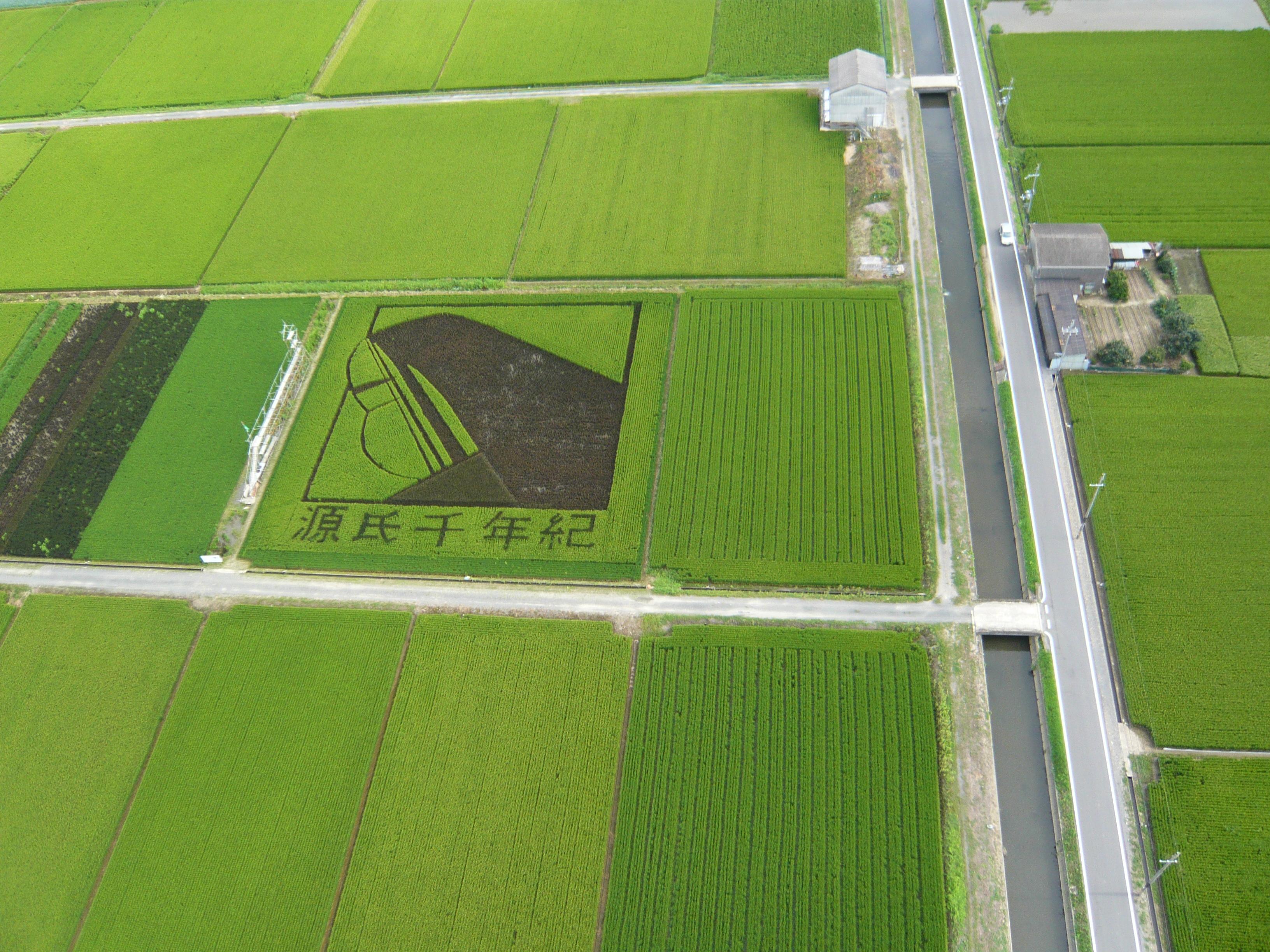 ライオンズクラブ335-C地区 クラブ活動ブログ