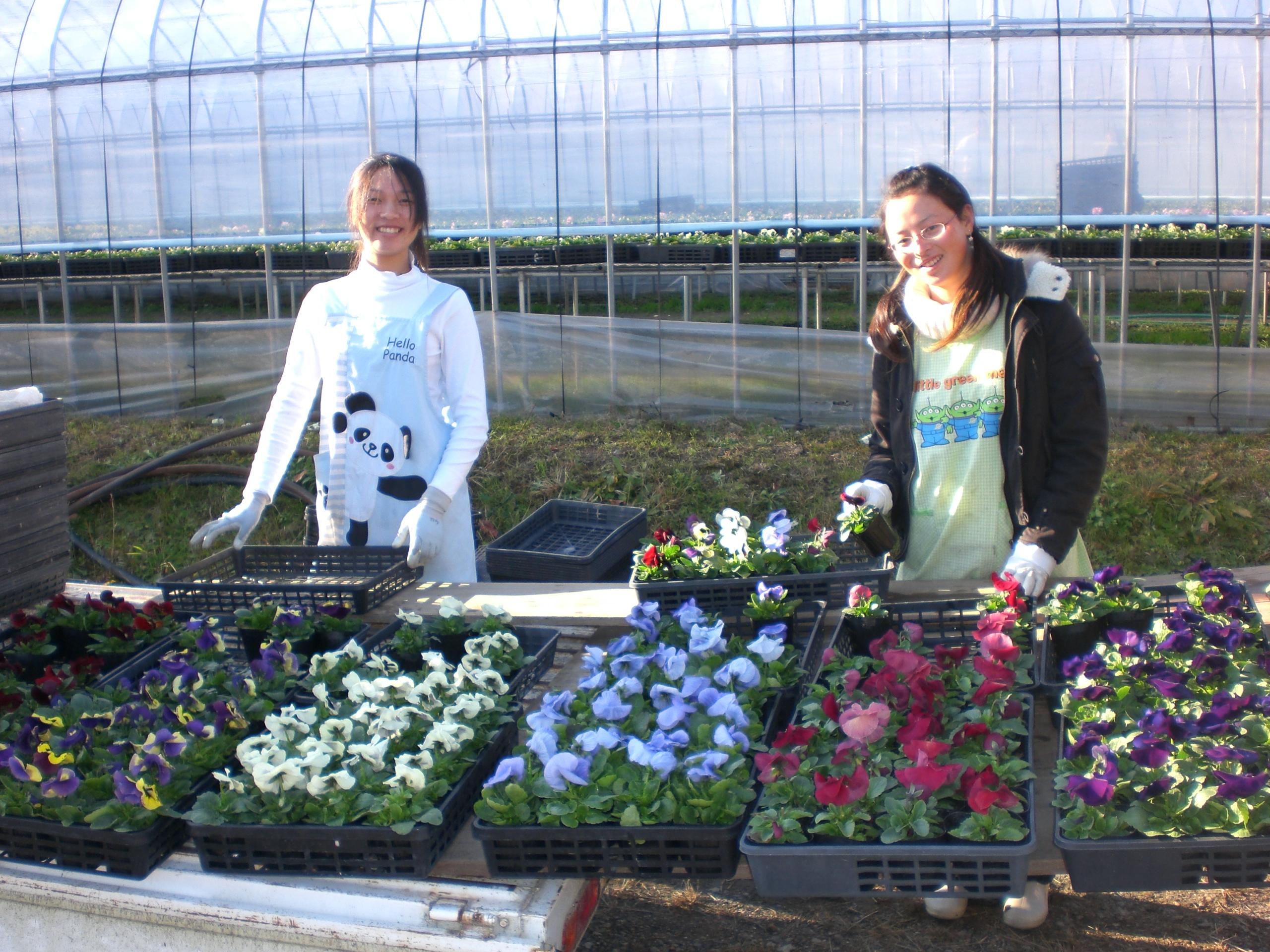 ライオンズクラブ335-C地区 クラブ活動ブログ