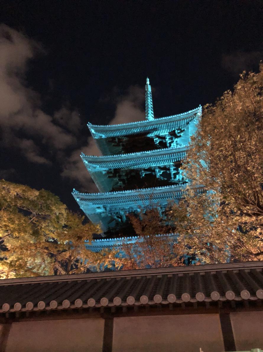 ライオンズクラブ335-C地区 委員会活動