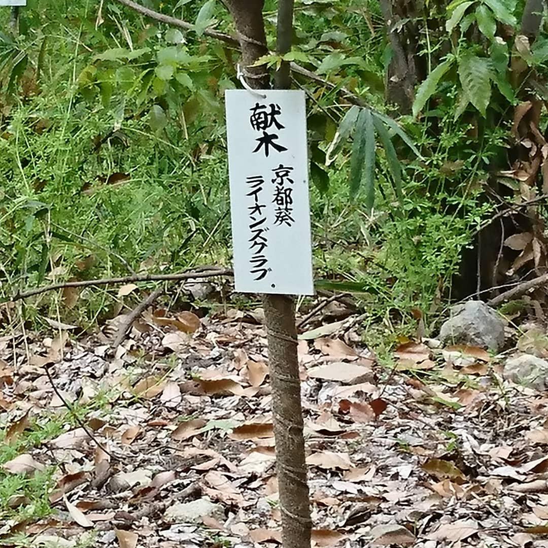 ライオンズクラブ335-C地区 クラブ活動ブログ