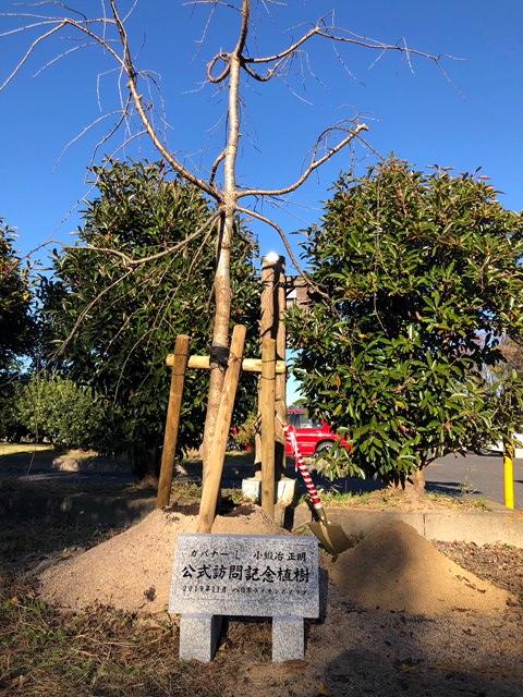 ライオンズクラブ335-C地区 クラブ活動ブログ