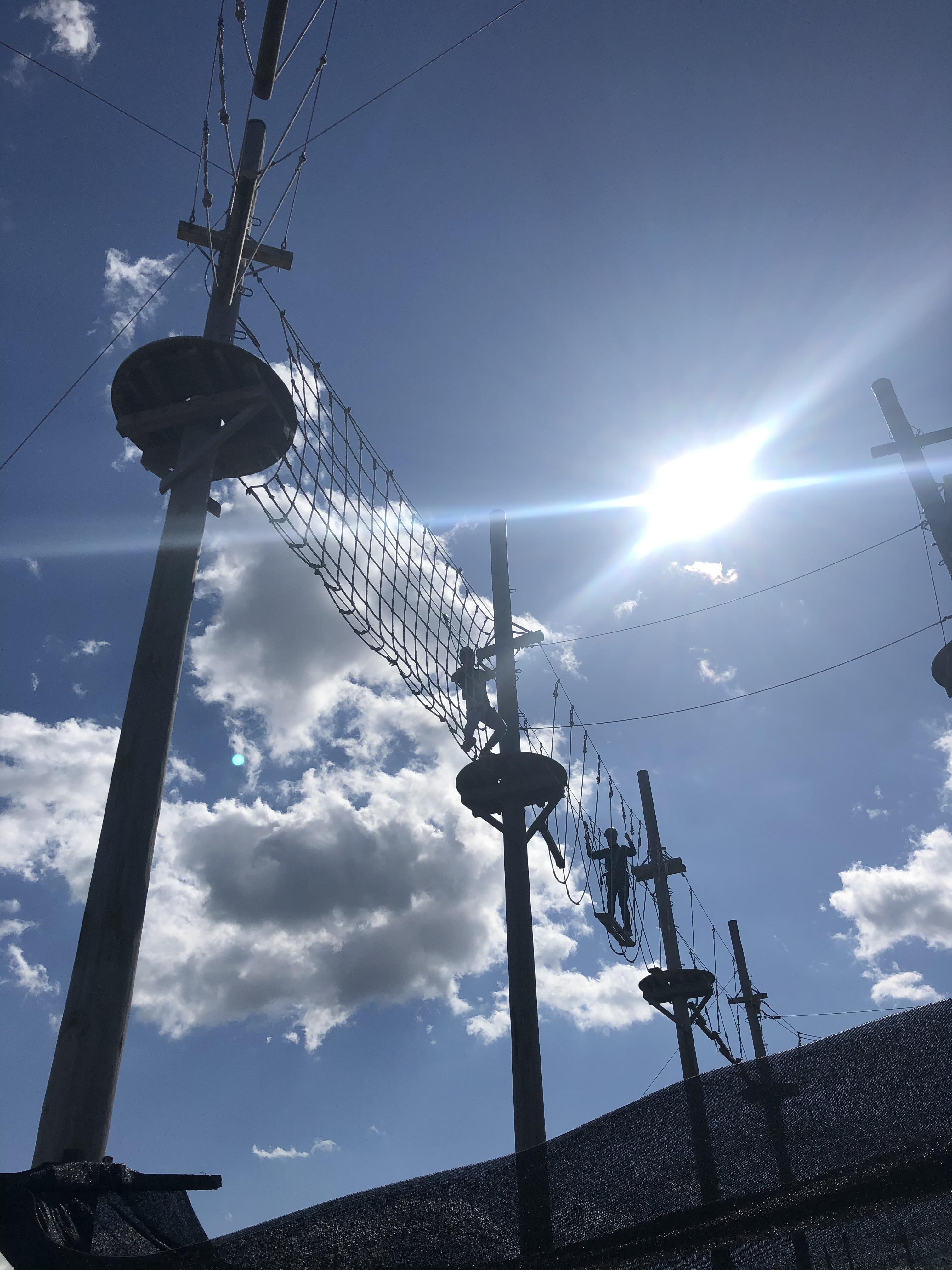 ライオンズクラブ335-C地区 委員会活動