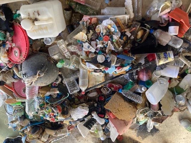 ライオンズクラブ335-C地区 委員会活動