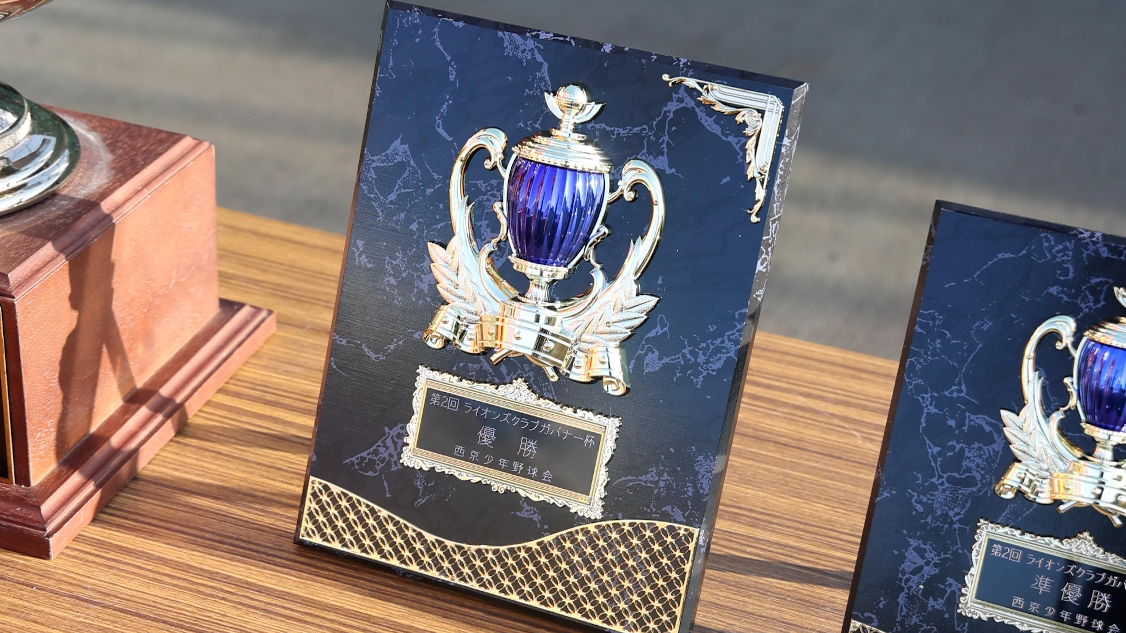 ライオンズクラブ335-C地区 委員会活動