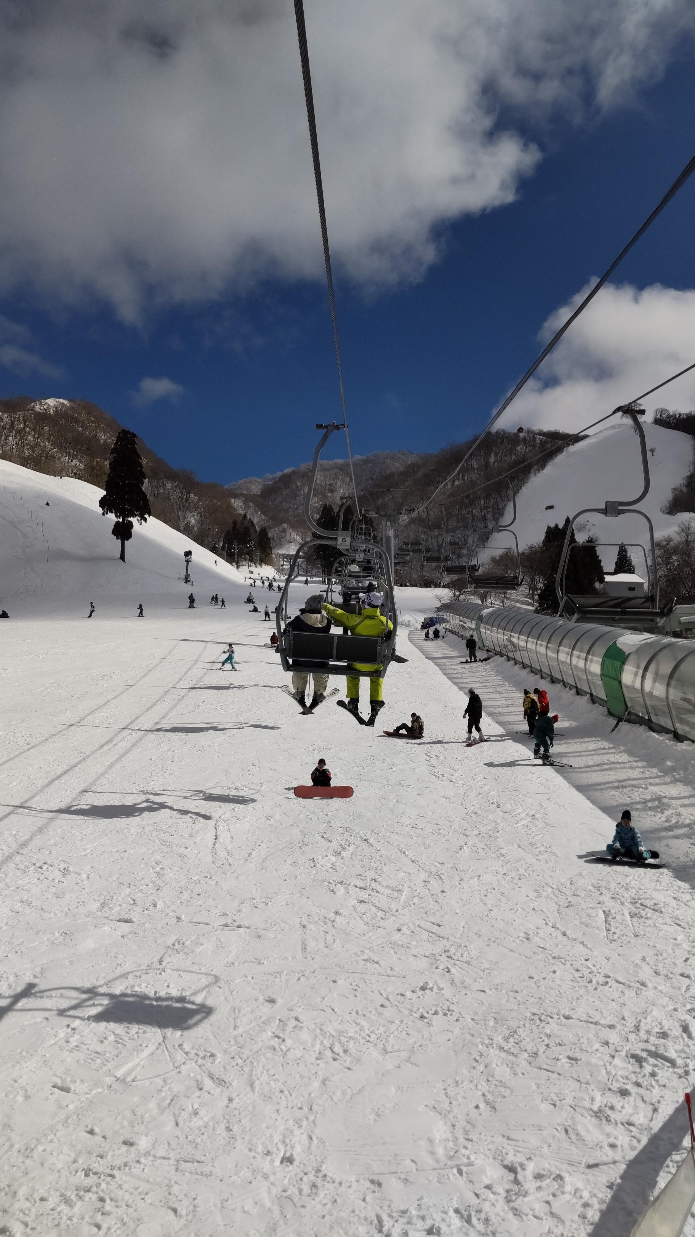 ライオンズクラブ335-C地区 クラブ活動ブログ