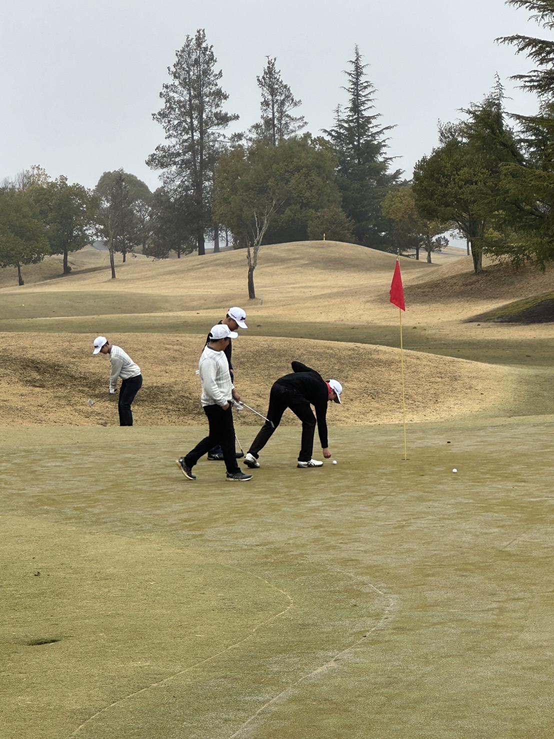 ライオンズクラブ335-C地区 クラブ活動ブログ