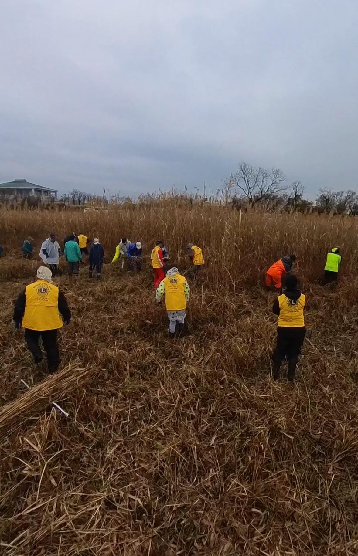 ライオンズクラブ335-C地区 委員会活動