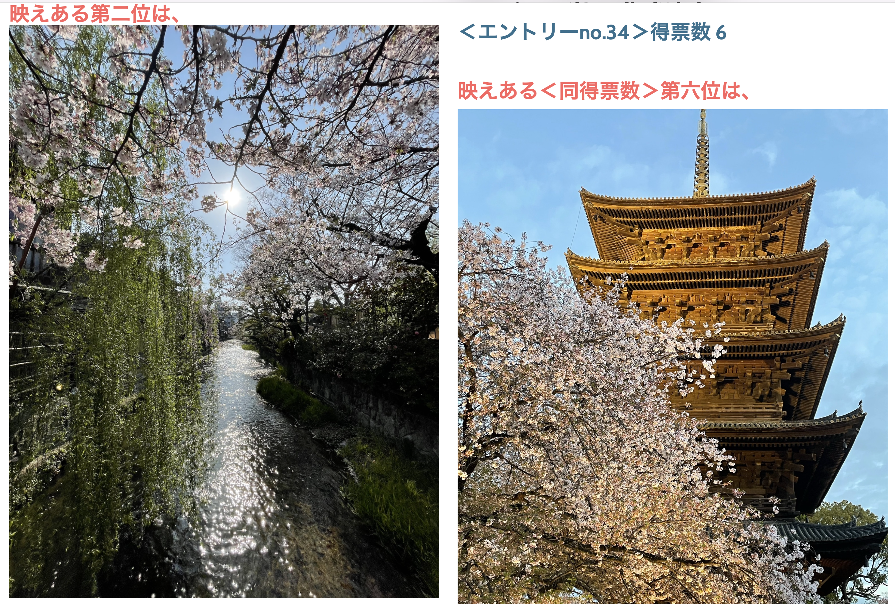 ライオンズクラブ335-C地区 クラブ活動ブログ