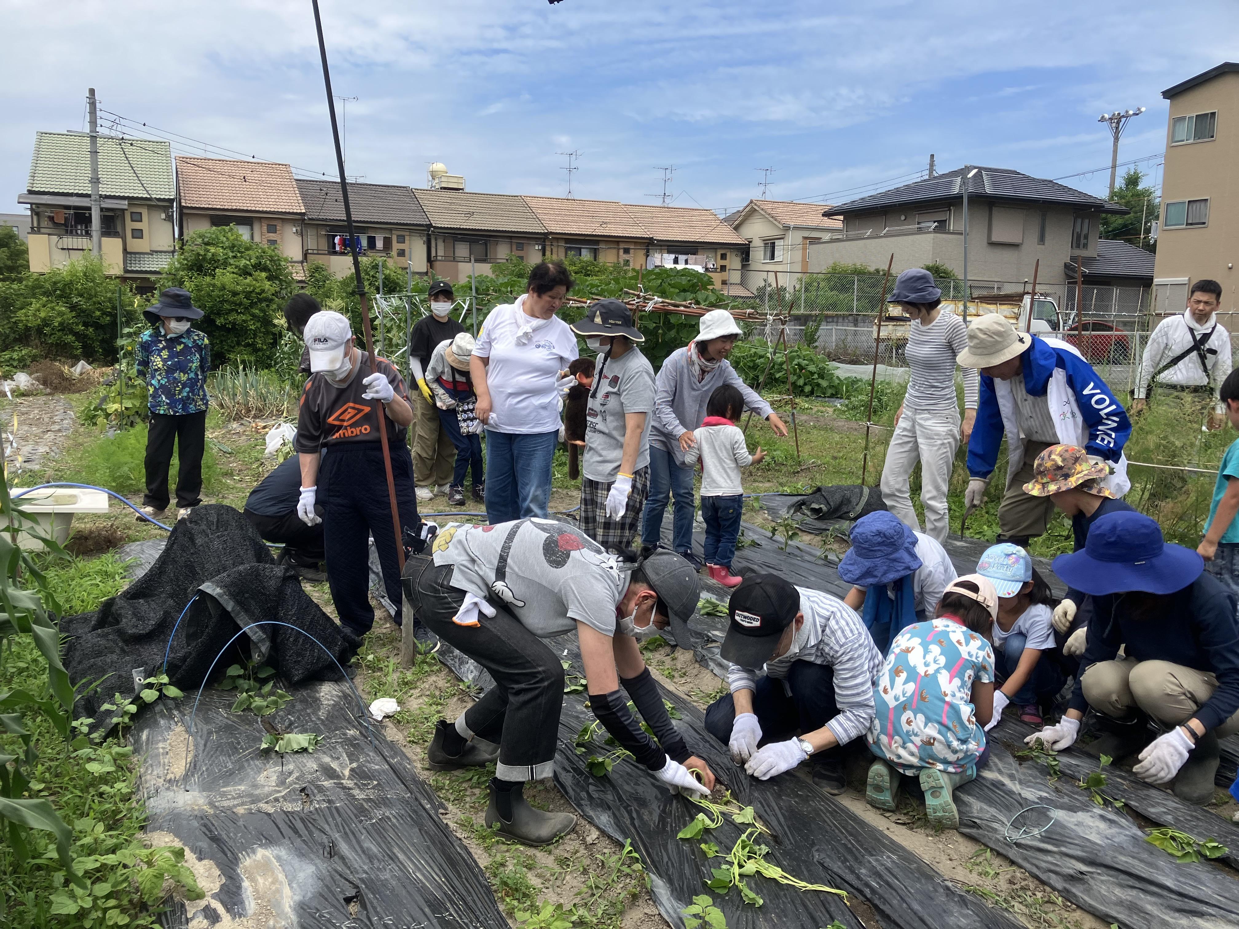 ライオンズクラブ335-C地区 クラブ活動ブログ