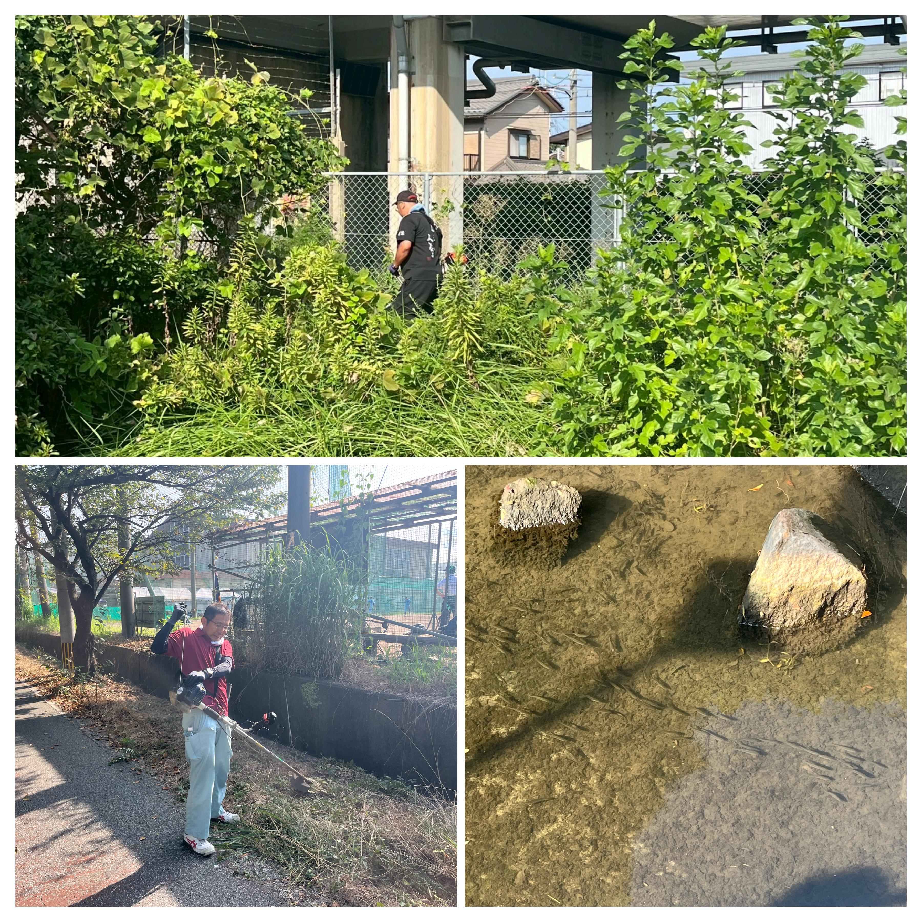 ライオンズクラブ335-C地区 クラブ活動ブログ