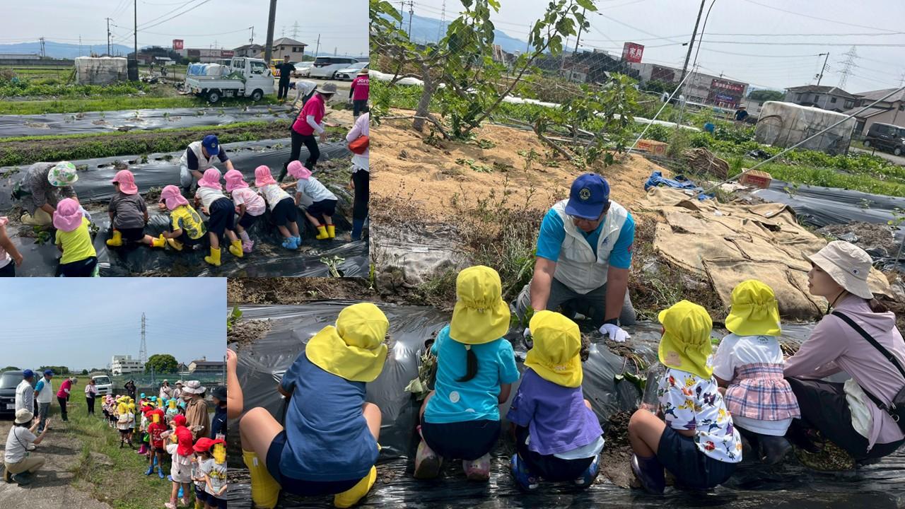 ライオンズクラブ335-C地区 クラブ活動ブログ