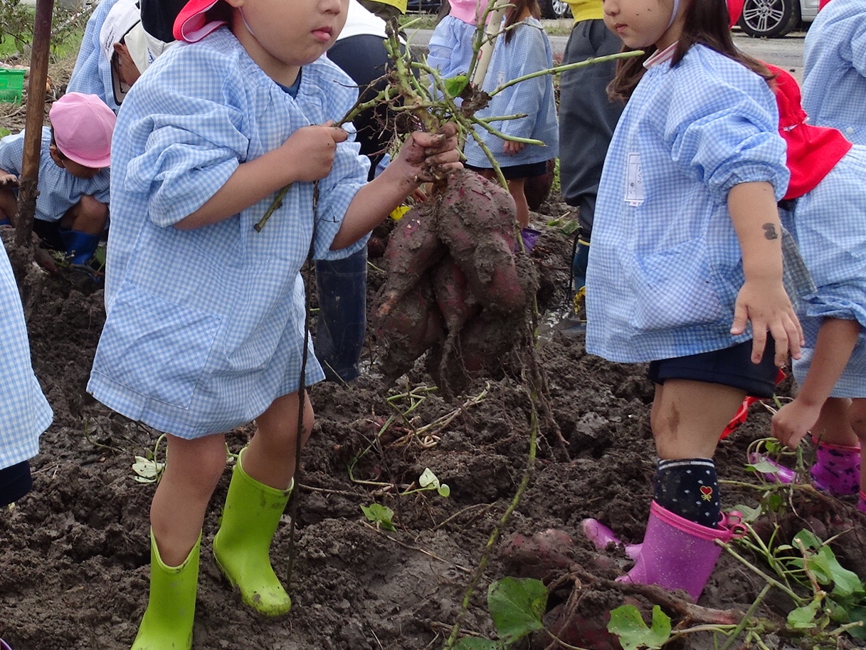 ライオンズクラブ335-C地区 クラブ活動ブログ