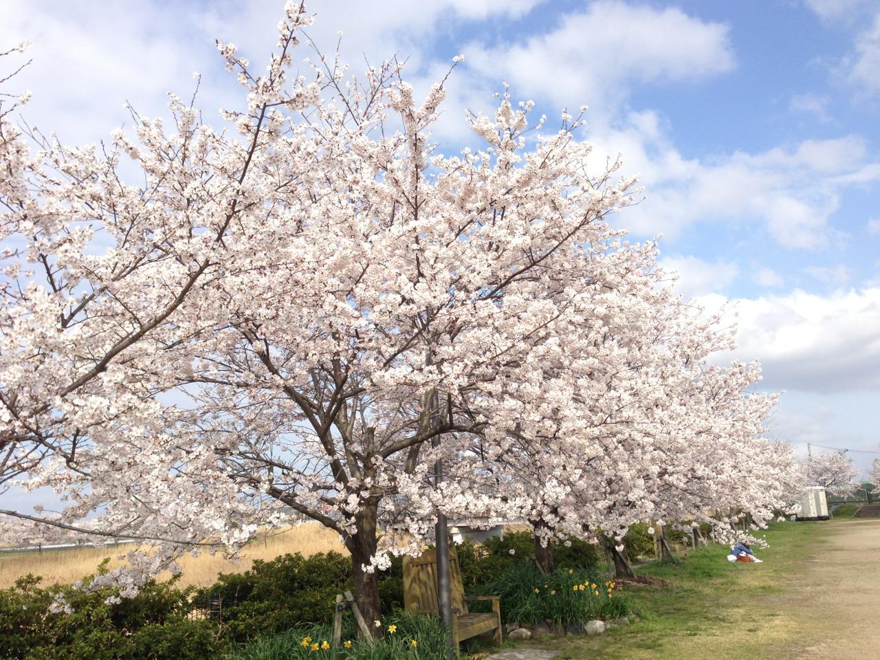 ライオンズクラブ335-C地区 クラブ活動ブログ