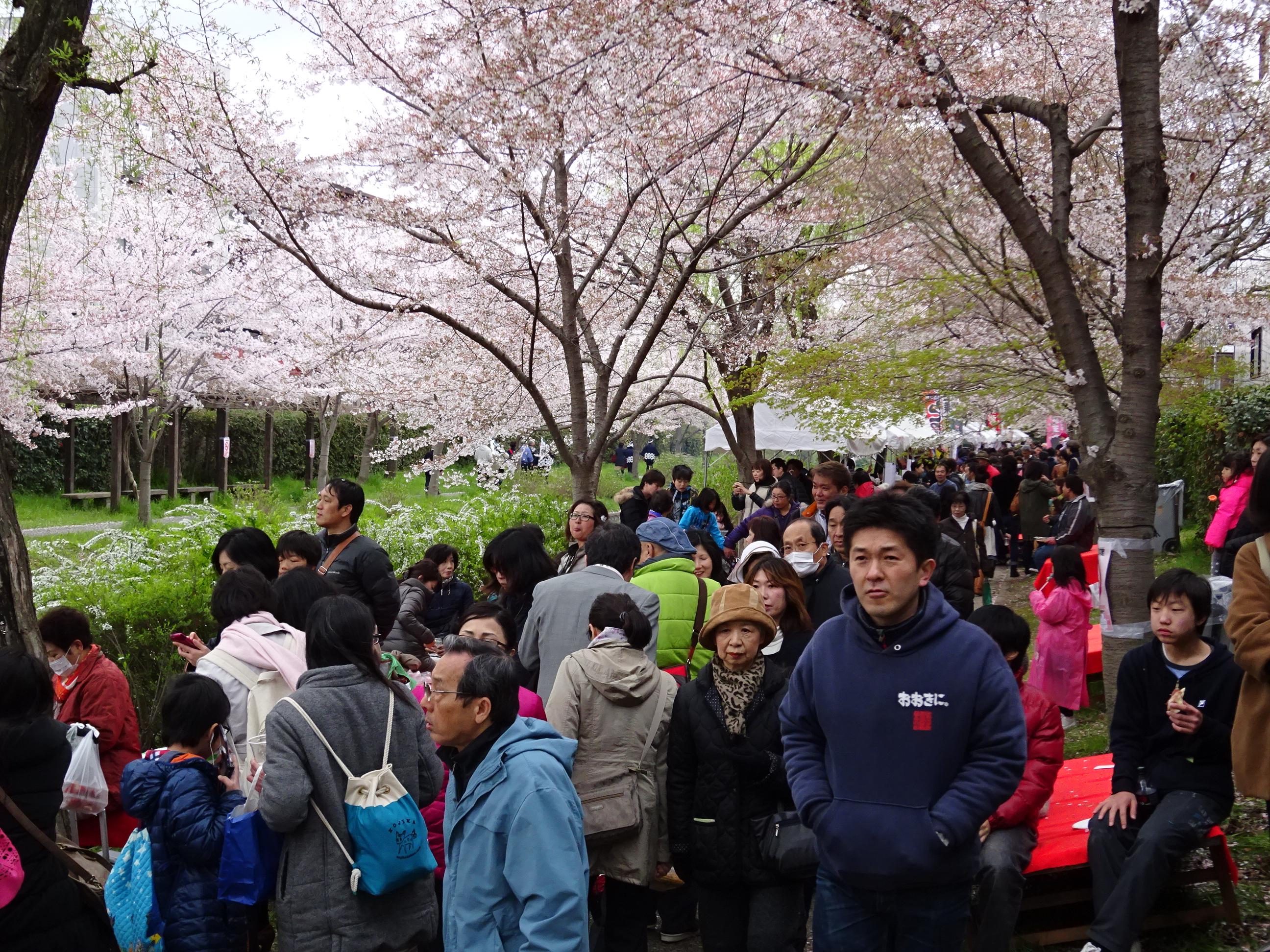 ライオンズクラブ335-C地区 クラブ活動ブログ
