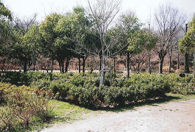 ライオンズクラブ335-C地区 クラブ活動ブログ