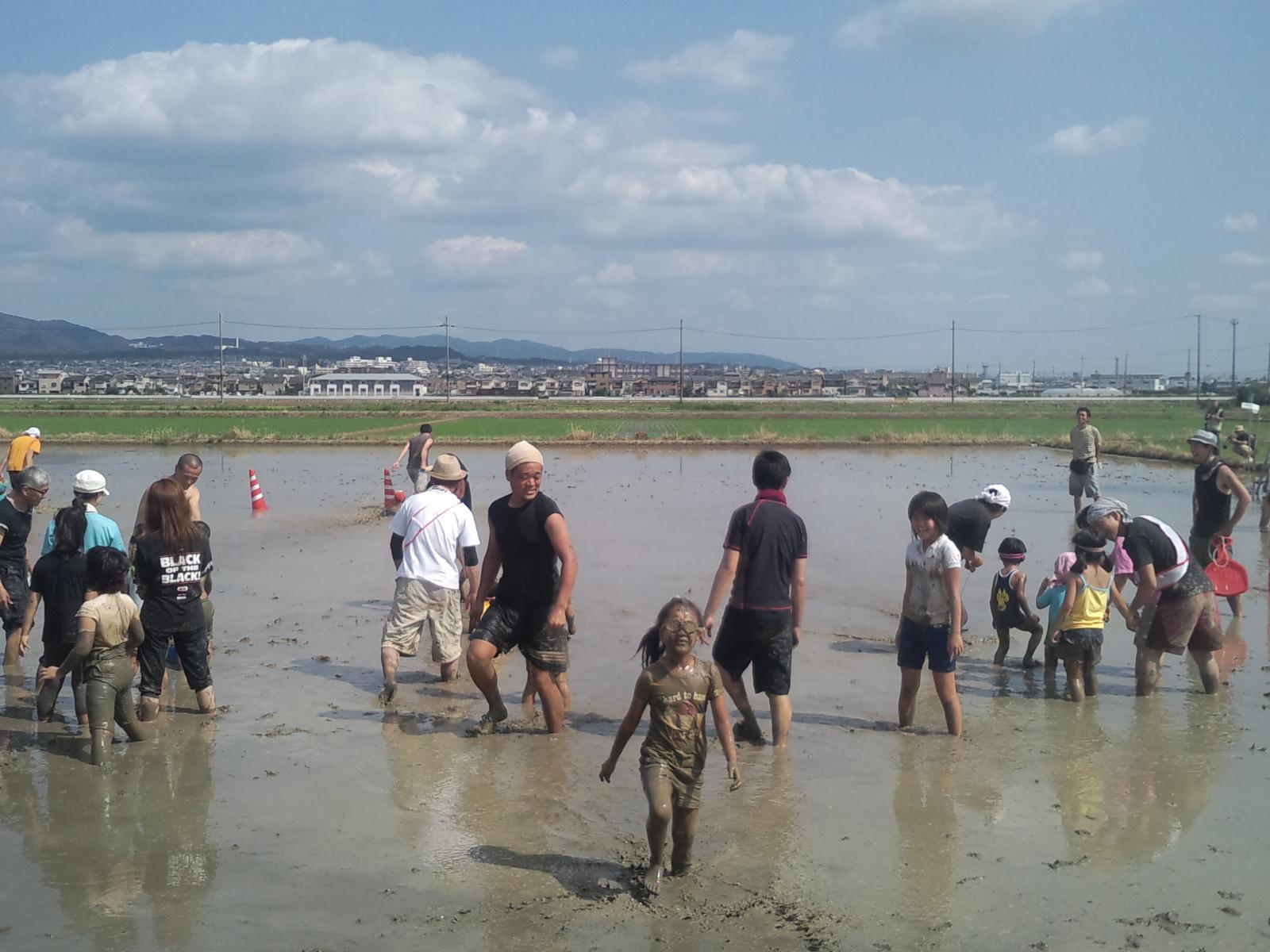 ライオンズクラブ335-C地区 クラブ活動ブログ