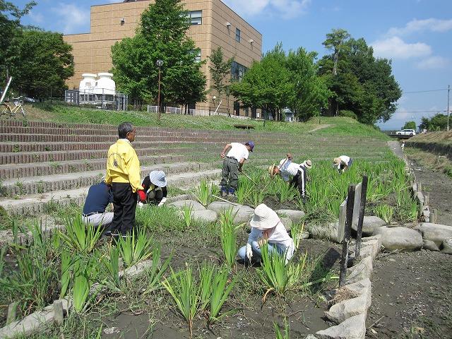 ライオンズクラブ335-C地区 クラブ活動ブログ