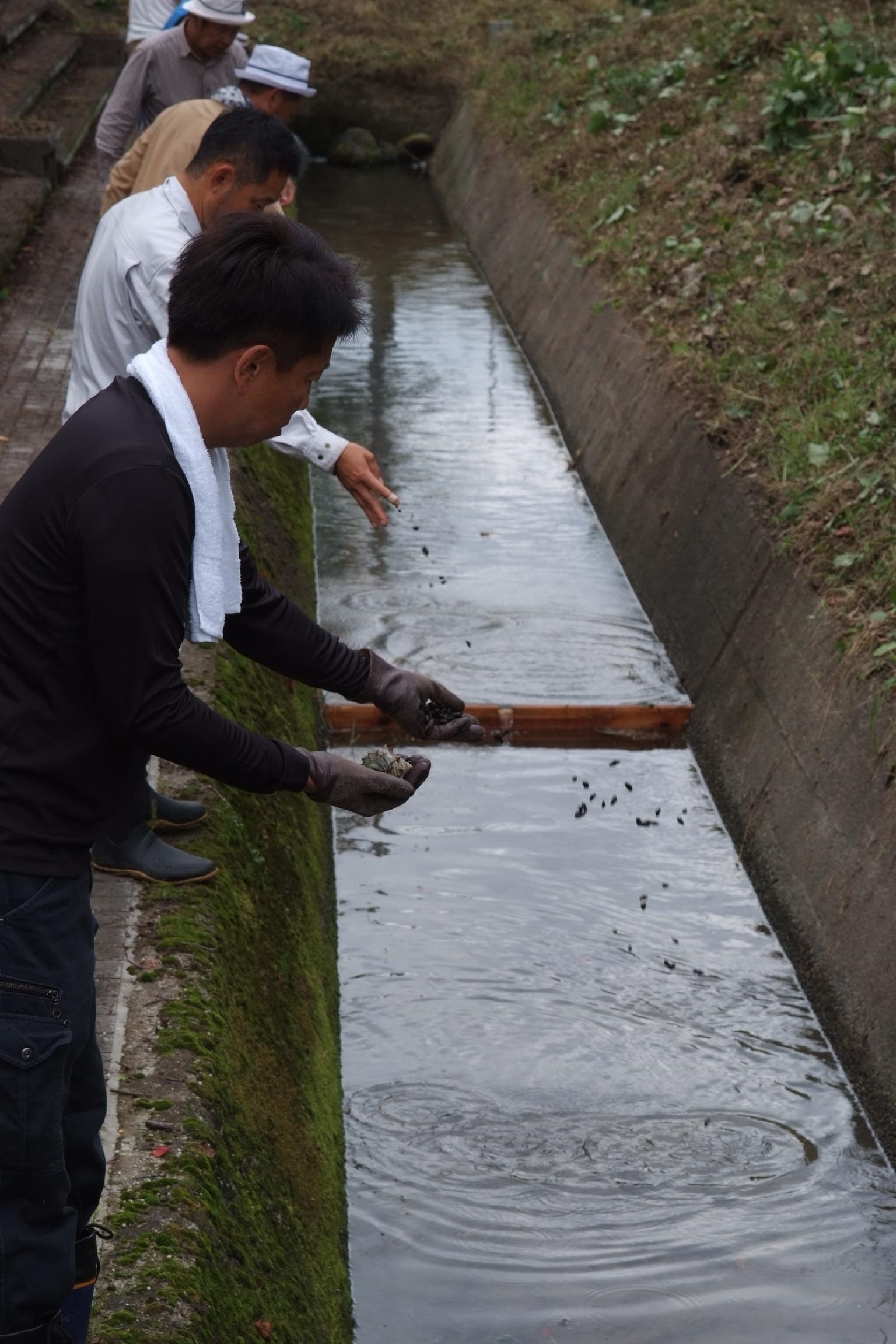 ライオンズクラブ335-C地区 クラブ活動ブログ