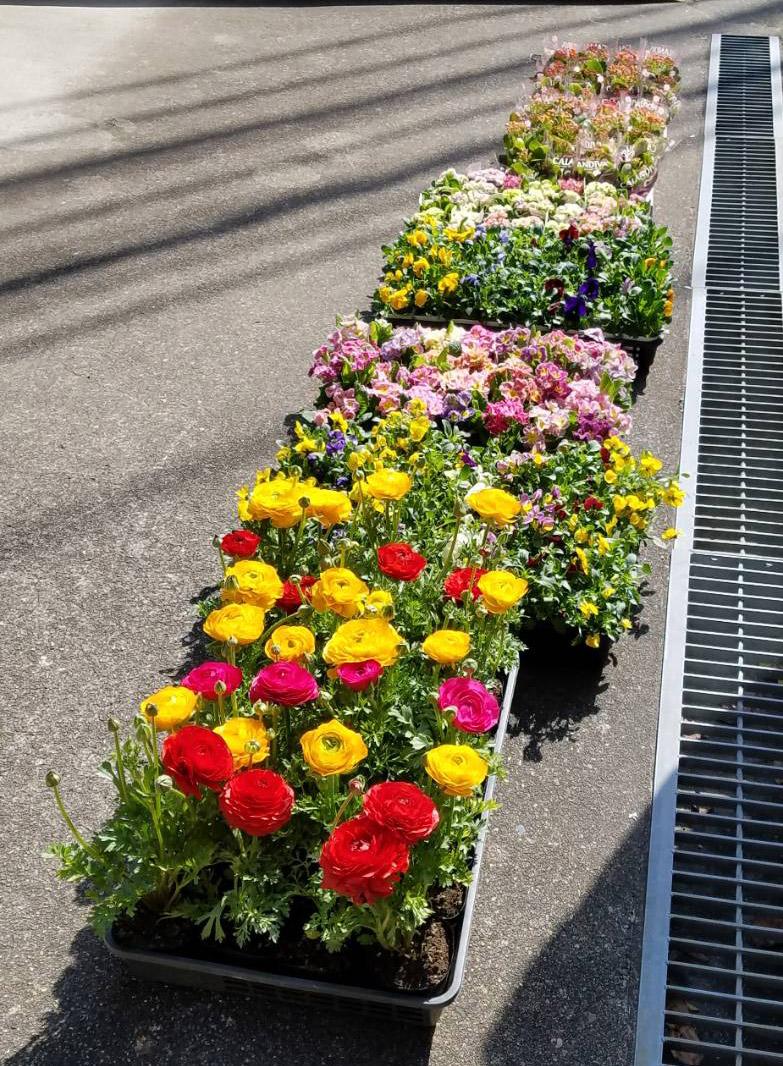 ライオンズクラブ335-C地区 クラブ活動ブログ