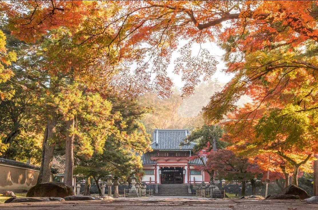 ライオンズクラブ335-C地区 クラブ活動ブログ