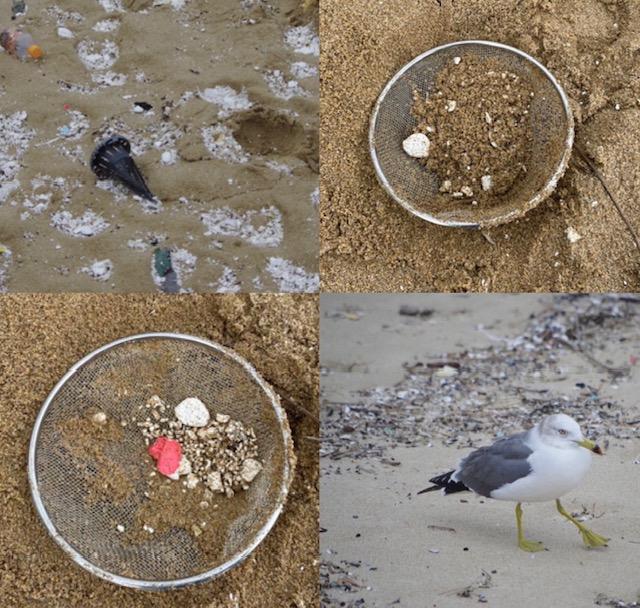 ライオンズクラブ335-C地区 委員会活動