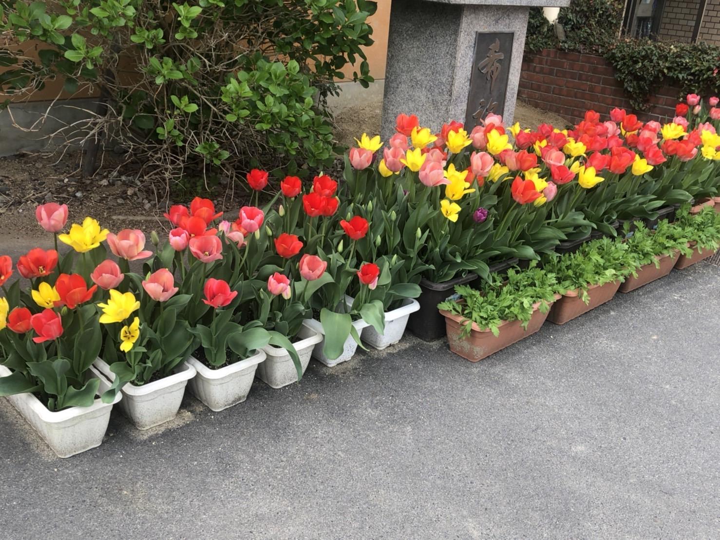 ライオンズクラブ335-C地区 クラブ活動ブログ