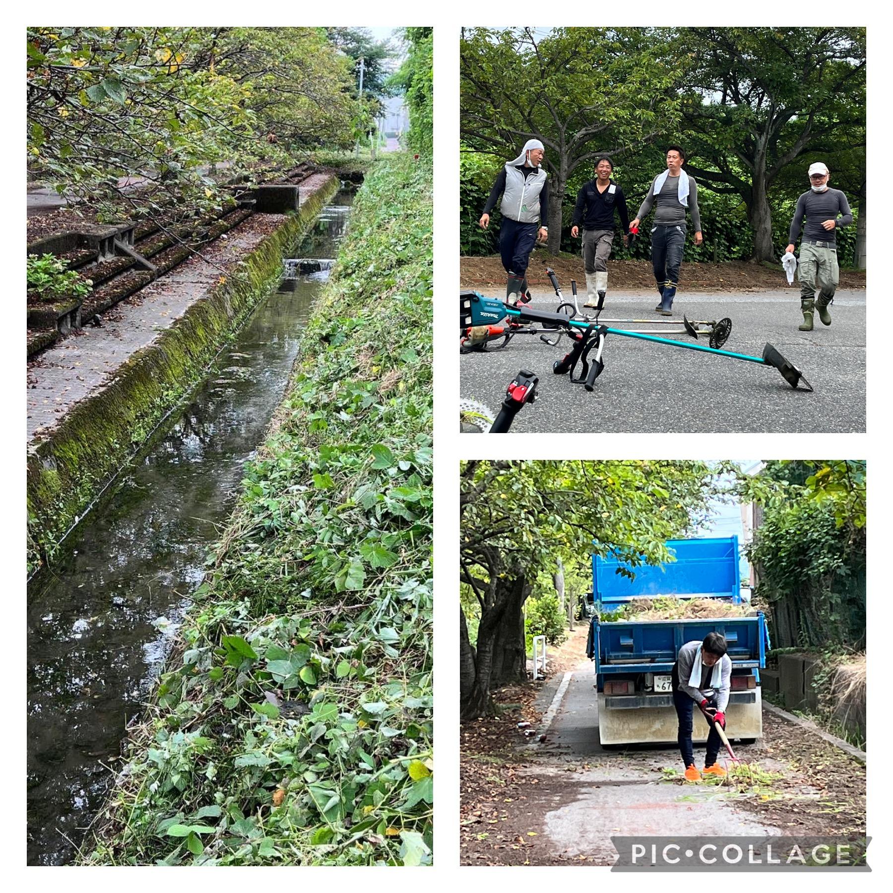 ライオンズクラブ335-C地区 クラブ活動ブログ