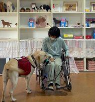 ライオンズクラブ335-C地区 クラブ活動ブログ