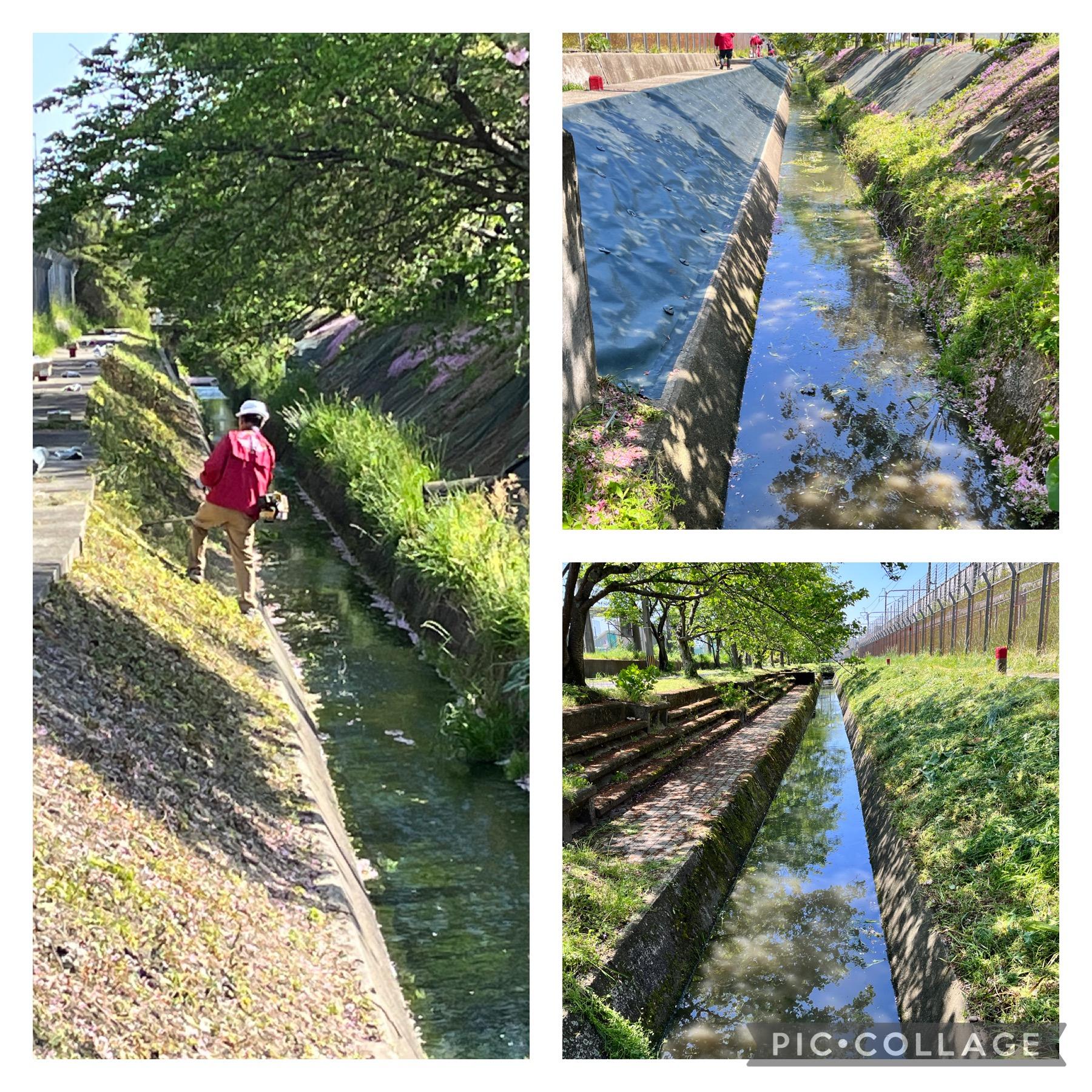 ライオンズクラブ335-C地区 クラブ活動ブログ