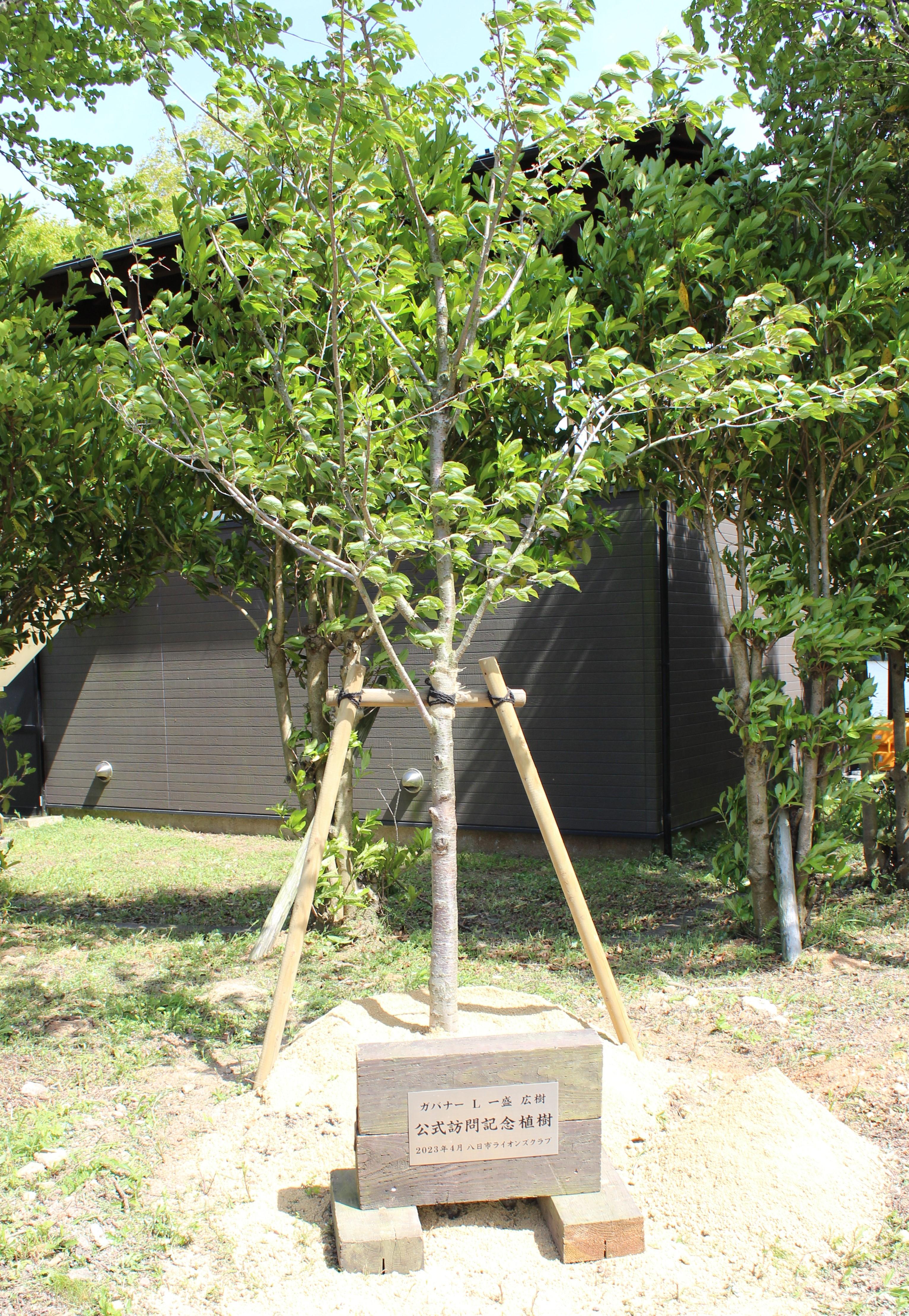 ライオンズクラブ335-C地区 クラブ活動ブログ