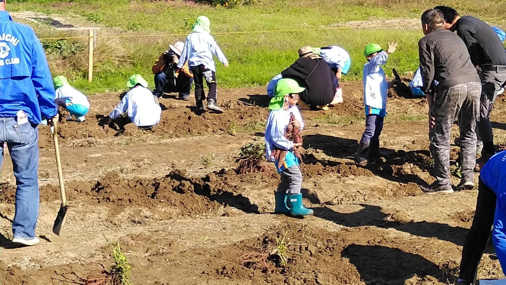 ライオンズクラブ335-C地区 クラブ活動ブログ