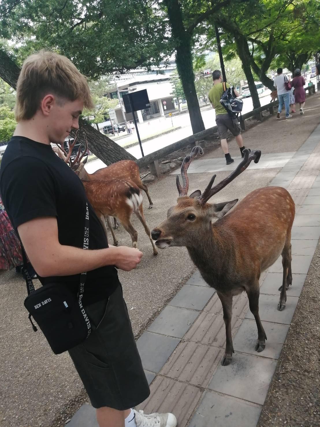 ライオンズクラブ335-C地区 クラブ活動ブログ