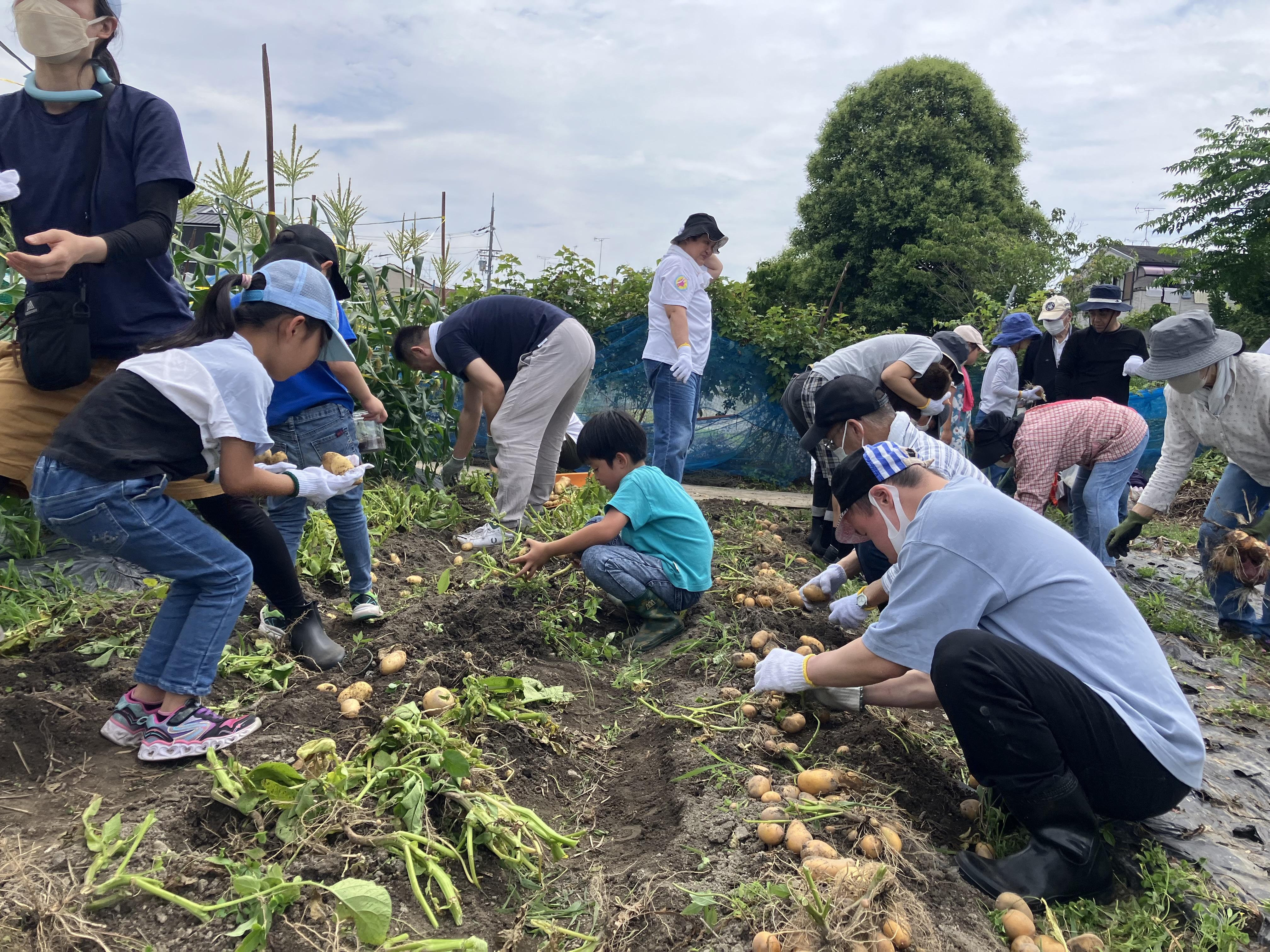 ライオンズクラブ335-C地区 クラブ活動ブログ
